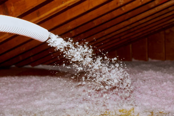 Best Cellulose Insulation in Mapleton, ND