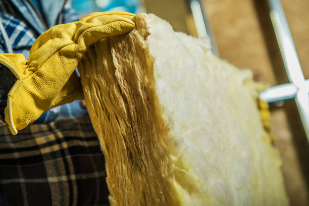 Best Blown-in Insulation in Mapleton, ND